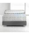 Magniflex Materac Maestro Dual