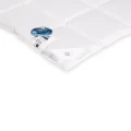 fibra5.webp