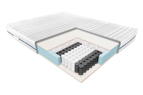 Standard-Wenus — kopia.jpg