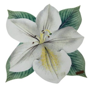 Eurofirany OBRUS SUMMER3 33 X 33 CM NATURALNY