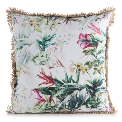 c09973979d4533ac7620a6fc83ea11b2