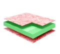 Metis - warstwy.webp