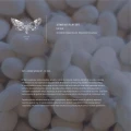 eri-silk.webp