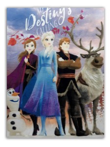 Setino Koc polarowy 100x140 Kraina Lodu Family