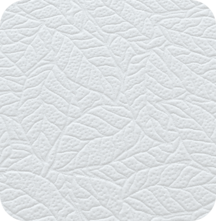 Biox-e1561969013769.png