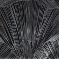 9dfc0e65943e51f1ca17d4ca75e235b1