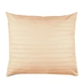 DD STRIPE BEIGE 50x60.webp
