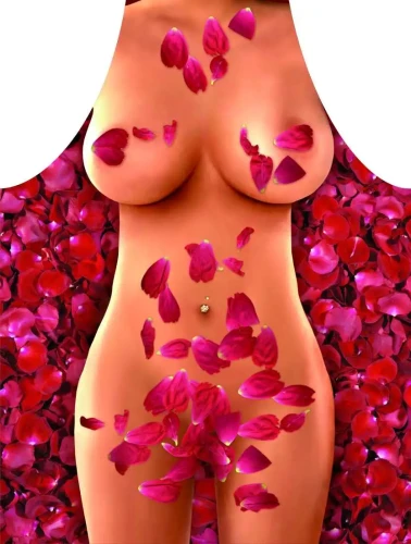 Darymex Fartuch nr 60 (Płatki Róż).webp