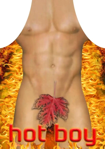 Darymex Fartuch nr 31 (Hot Boy).webp