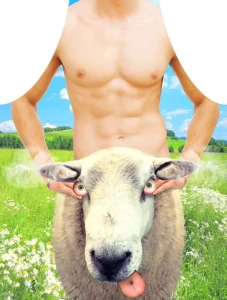 Darymex Fartuch nr 03 (Sheep)