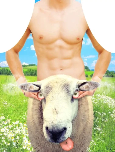 Darymex Fartuch nr 03 (Sheep).webp