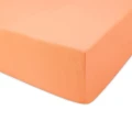 Darymex Prześcieradło Jersey Z Gumką Łososiowe (2).webp